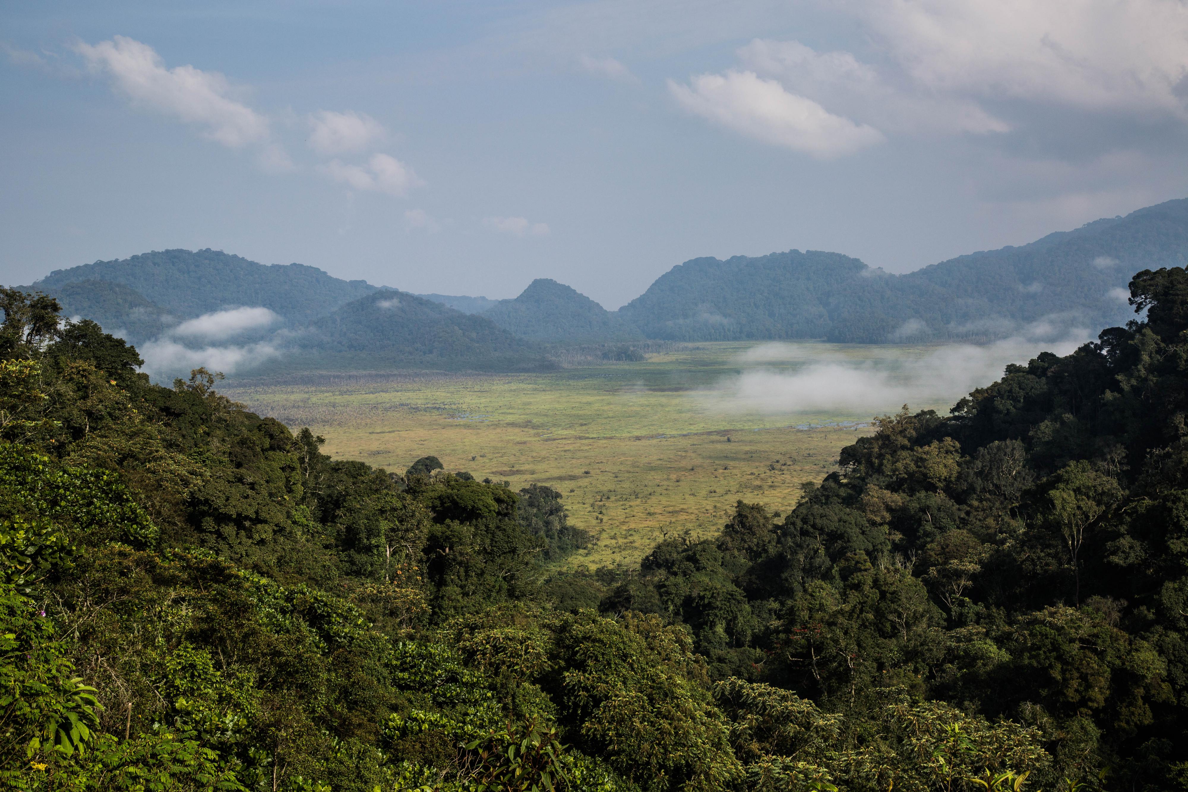 nyungwe-african-parks